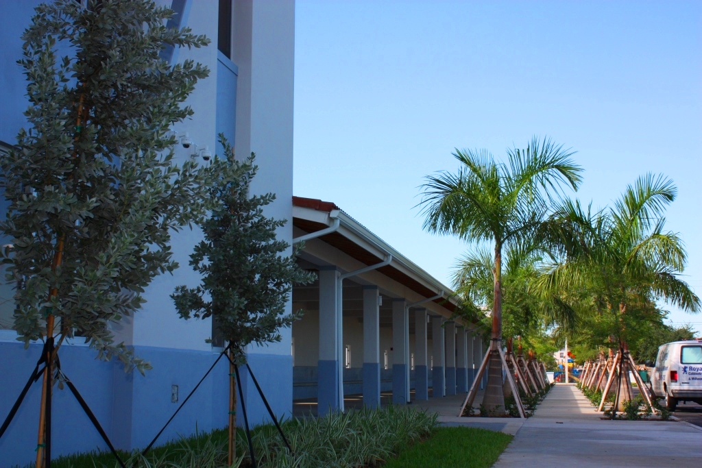 image3