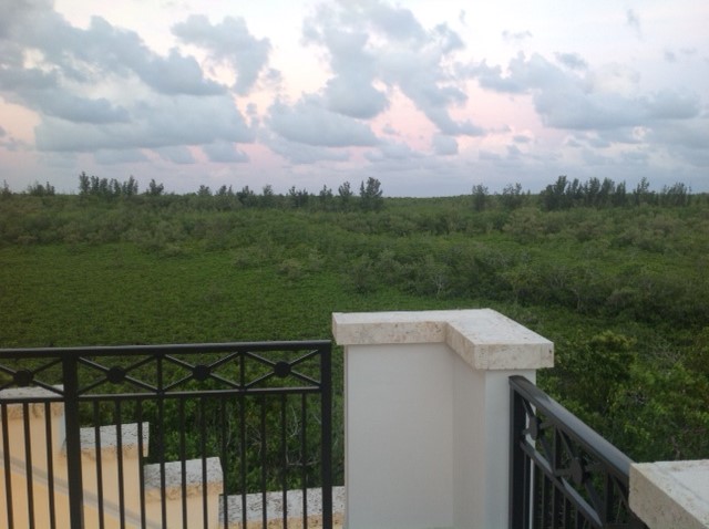 image6