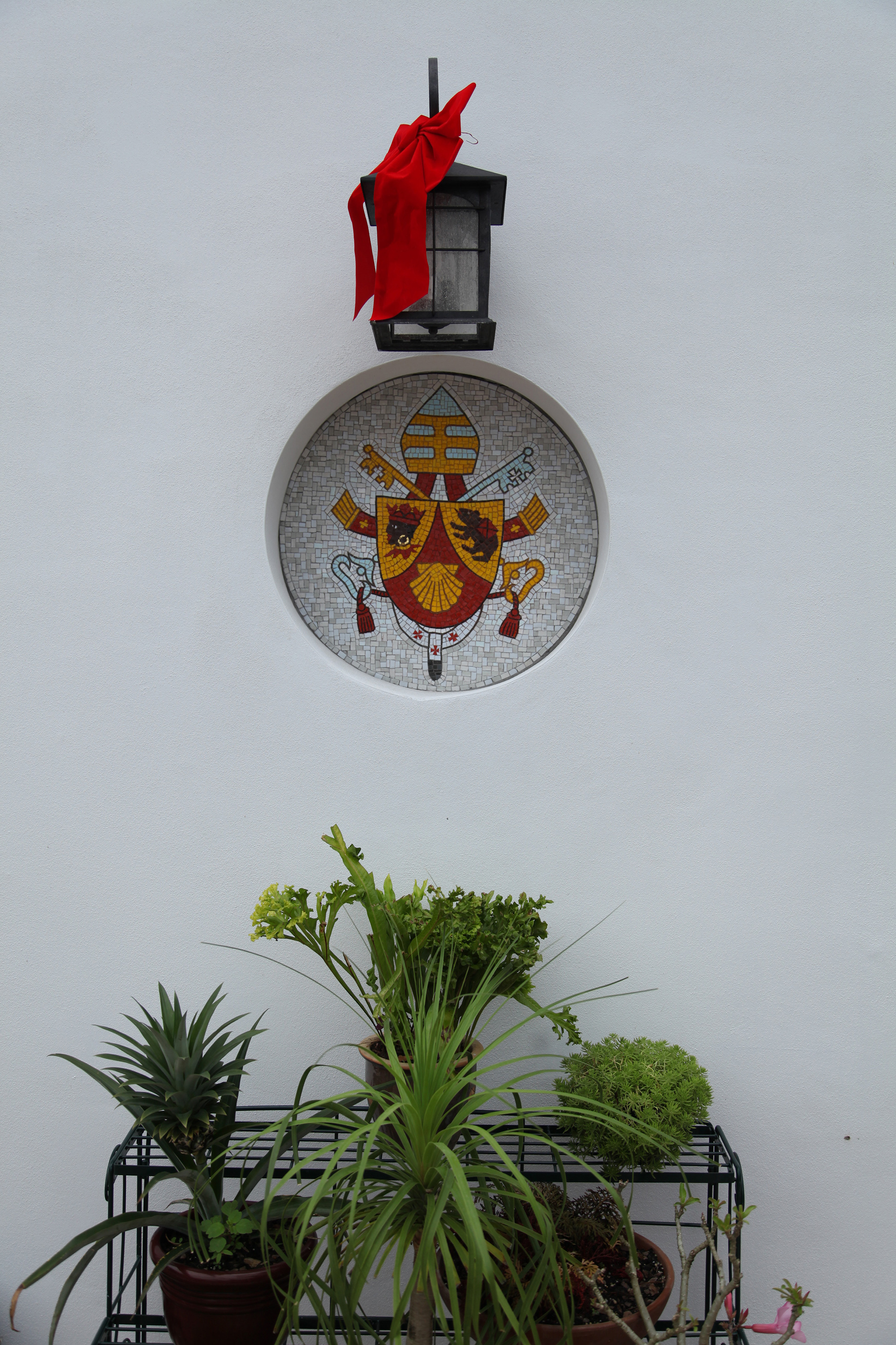 image7