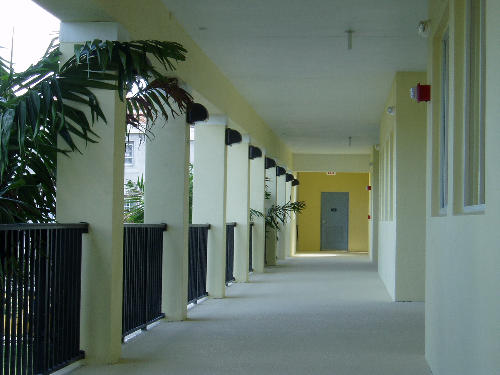image4