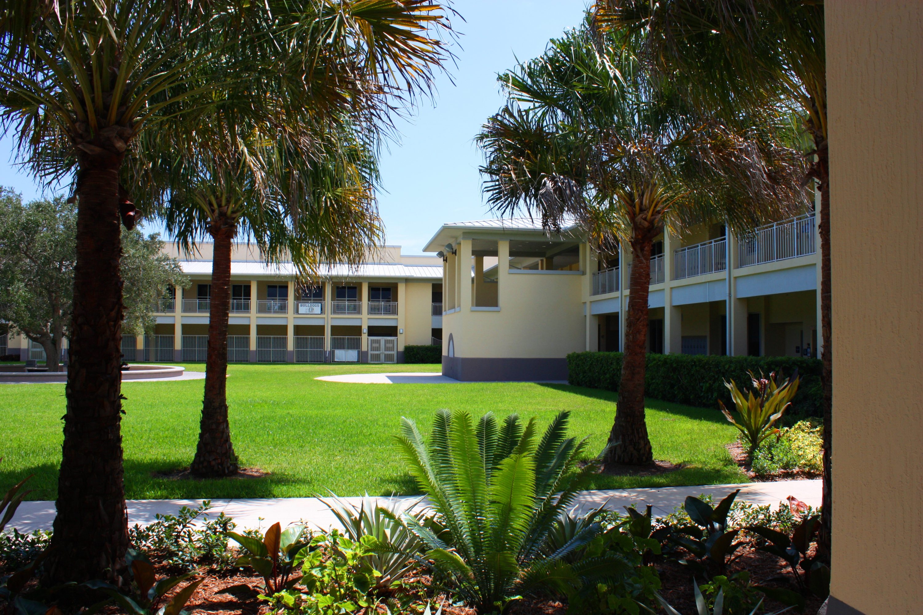 image14